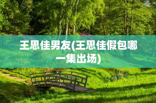 王思佳男友(王思佳假包哪一集出场)