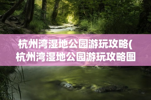 杭州湾湿地公园游玩攻略(杭州湾湿地公园游玩攻略图)