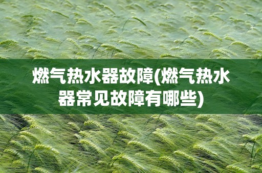 燃气热水器故障(燃气热水器常见故障有哪些)