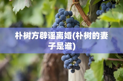 朴树方辟谣离婚(朴树的妻子是谁)