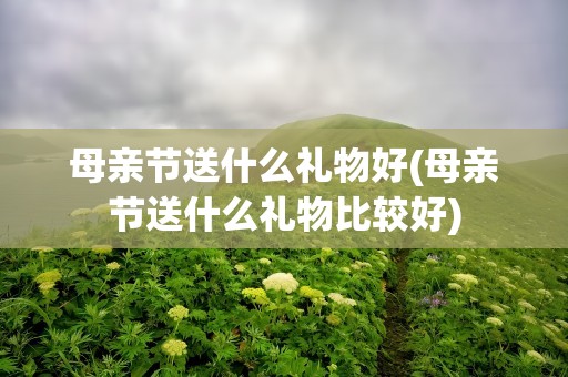 母亲节送什么礼物好(母亲节送什么礼物比较好)