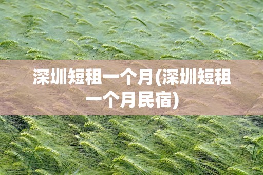 深圳短租一个月(深圳短租一个月民宿)
