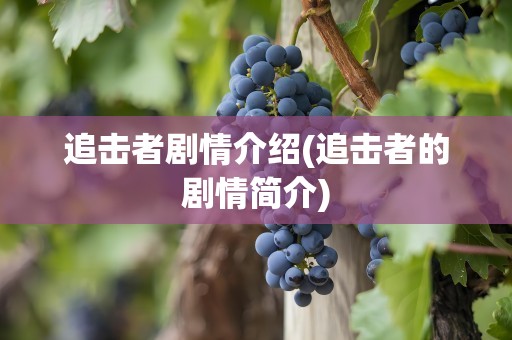 追击者剧情介绍(追击者的剧情简介)