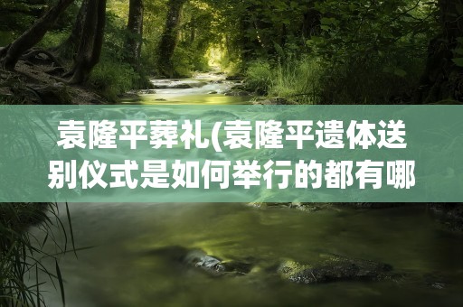 袁隆平葬礼(袁隆平遗体送别仪式是如何举行的都有哪些知名人物前来送行)