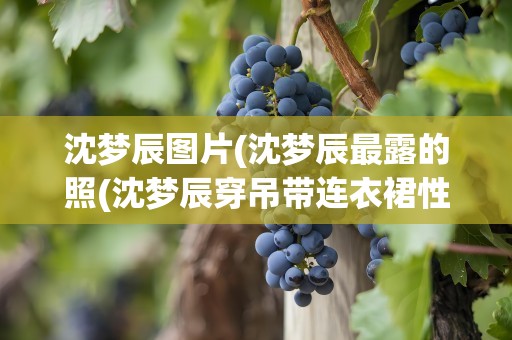沈梦辰图片(沈梦辰最露的照(沈梦辰穿吊带连衣裙性感十足))