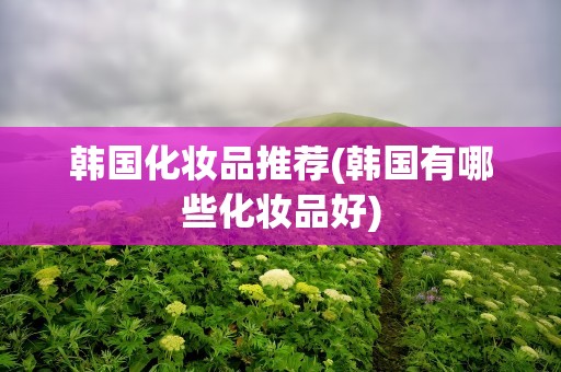 韩国化妆品推荐(韩国有哪些化妆品好)