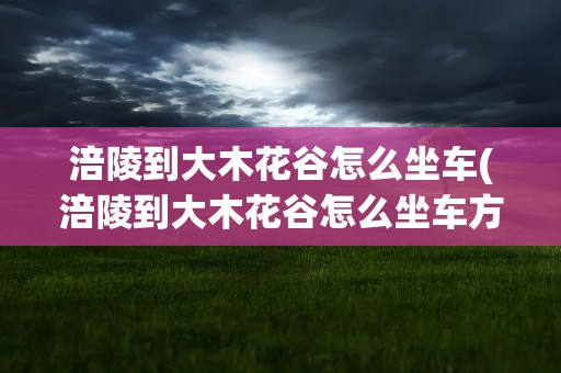 涪陵到大木花谷怎么坐车(涪陵到大木花谷怎么坐车方便)