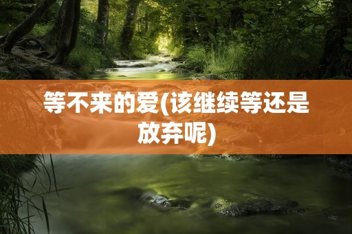 等不来的爱(该继续等还是放弃呢)