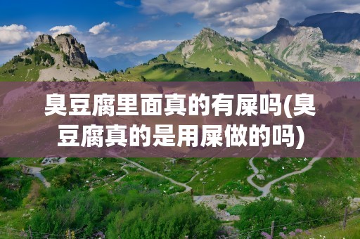 臭豆腐里面真的有屎吗(臭豆腐真的是用屎做的吗)