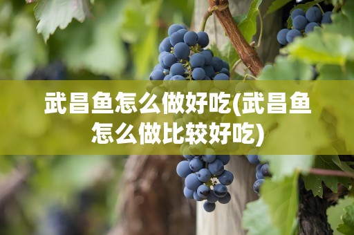 武昌鱼怎么做好吃(武昌鱼怎么做比较好吃)