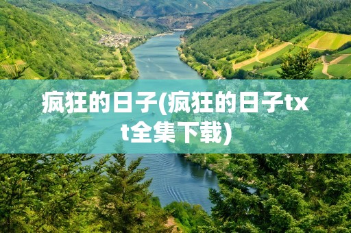 疯狂的日子(疯狂的日子txt全集下载)