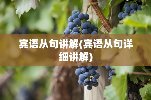 宾语从句讲解(宾语从句详细讲解)