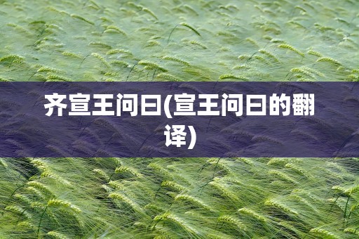 齐宣王问曰(宣王问曰的翻译)