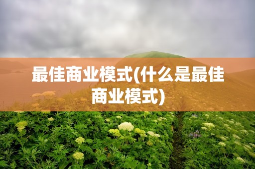 最佳商业模式(什么是最佳商业模式)