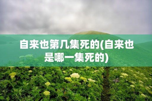 自来也第几集死的(自来也是哪一集死的)