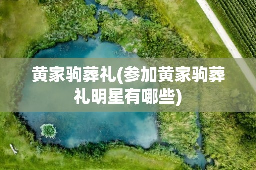 黄家驹葬礼(参加黄家驹葬礼明星有哪些)