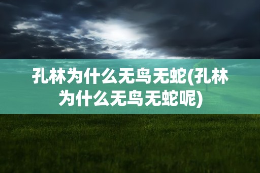 孔林为什么无鸟无蛇(孔林为什么无鸟无蛇呢)