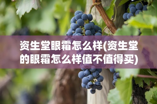 资生堂眼霜怎么样(资生堂的眼霜怎么样值不值得买)