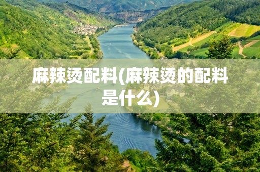 麻辣烫配料(麻辣烫的配料是什么)