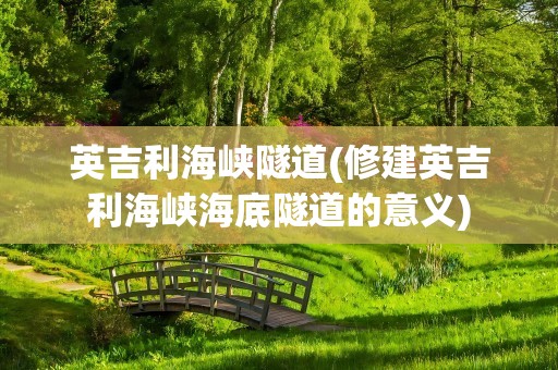 英吉利海峡隧道(修建英吉利海峡海底隧道的意义)