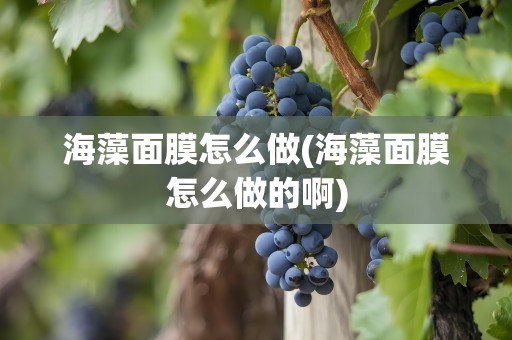 海藻面膜怎么做(海藻面膜怎么做的啊)