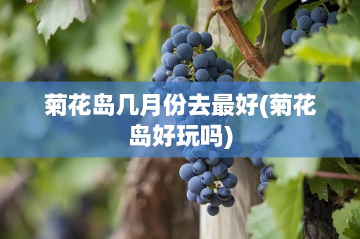 菊花岛几月份去最好(菊花岛好玩吗)