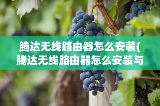 腾达无线路由器怎么安装(腾达无线路由器怎么安装与设定)