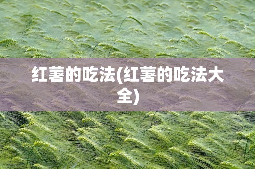红薯的吃法(红薯的吃法大全)