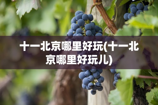 十一北京哪里好玩(十一北京哪里好玩儿)