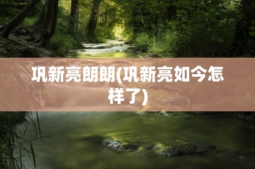 巩新亮朗朗(巩新亮如今怎样了)
