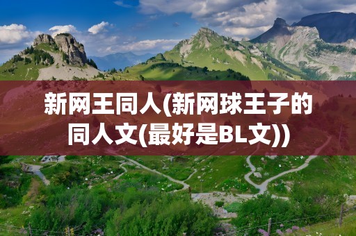 新网王同人(新网球王子的同人文(最好是BL文))