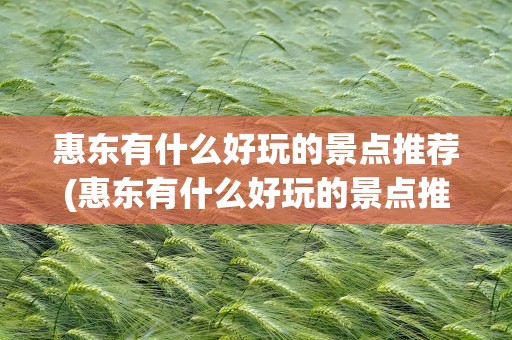 惠东有什么好玩的景点推荐(惠东有什么好玩的景点推荐吗)