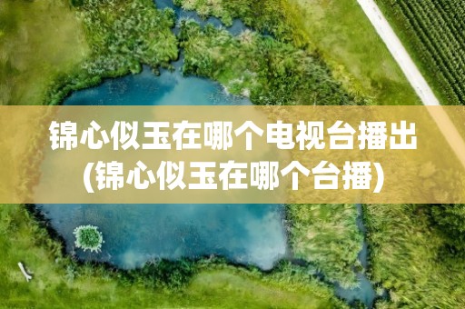 锦心似玉在哪个电视台播出(锦心似玉在哪个台播)