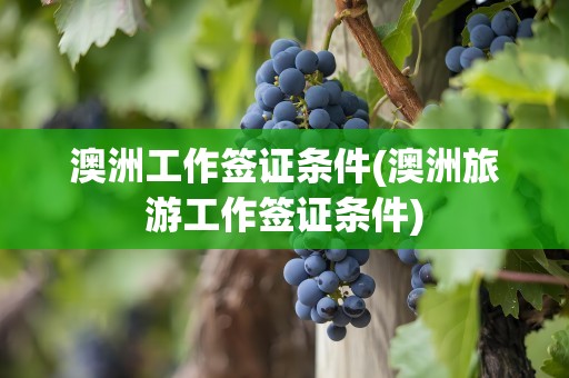 澳洲工作签证条件(澳洲旅游工作签证条件)