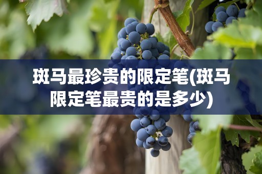 斑马最珍贵的限定笔(斑马限定笔最贵的是多少)