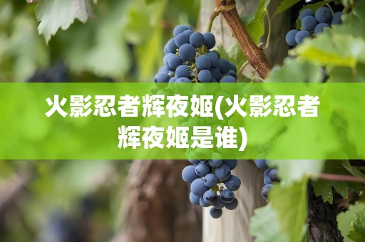 火影忍者辉夜姬(火影忍者辉夜姬是谁)