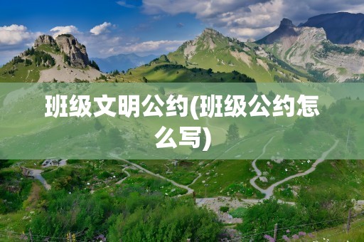 班级文明公约(班级公约怎么写)