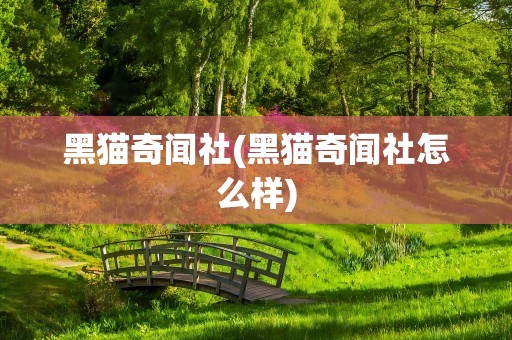 黑猫奇闻社(黑猫奇闻社怎么样)