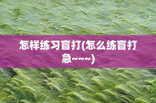 怎样练习盲打(怎么练盲打急~~~)