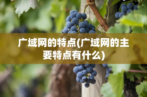 广域网的特点(广域网的主要特点有什么)