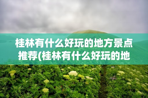 桂林有什么好玩的地方景点推荐(桂林有什么好玩的地方景点推荐一下)