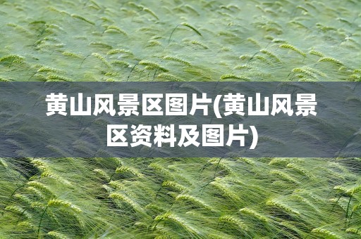 黄山风景区图片(黄山风景区资料及图片)