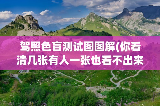 驾照色盲测试图图解(你看清几张有人一张也看不出来)
