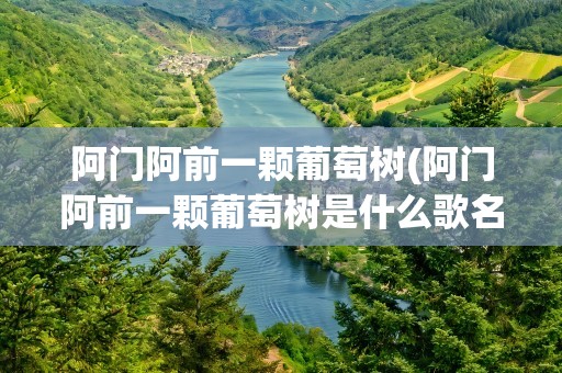 阿门阿前一颗葡萄树(阿门阿前一颗葡萄树是什么歌名)