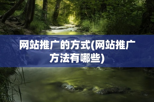 网站推广的方式(网站推广方法有哪些)