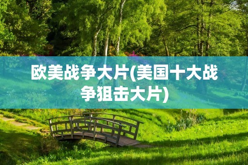 欧美战争大片(美国十大战争狙击大片)