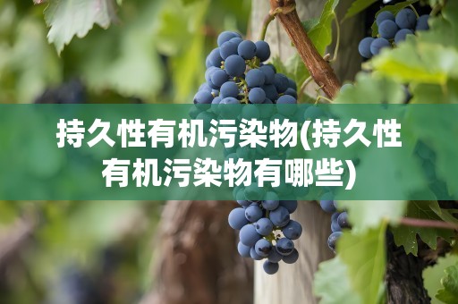 持久性有机污染物(持久性有机污染物有哪些)