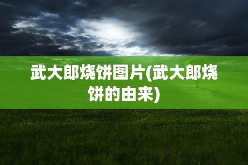 武大郎烧饼图片(武大郎烧饼的由来)