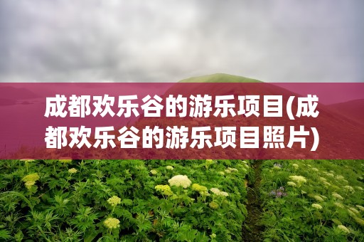 成都欢乐谷的游乐项目(成都欢乐谷的游乐项目照片)