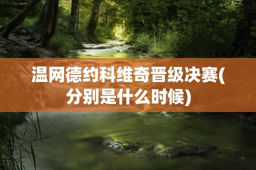 温网德约科维奇晋级决赛(分别是什么时候)